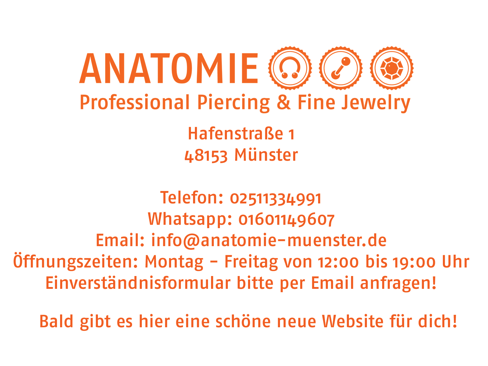 ANATOMIE Info – Website wird neu erstellt